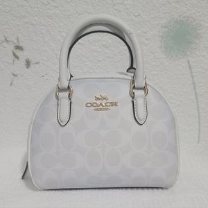 Coach small bag